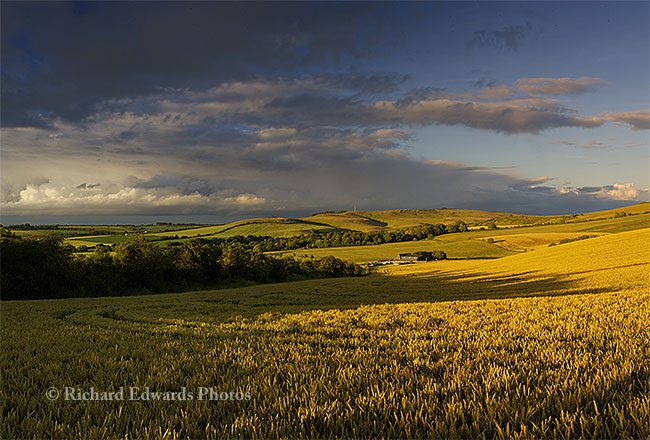Evening over Cherhill Down