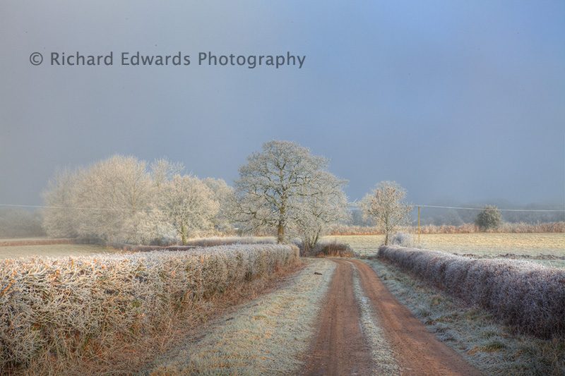 Frosted Lane, Potterne