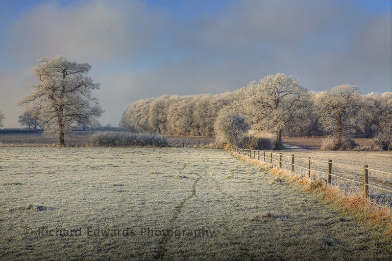 Frosted Meadow, Oakfrith