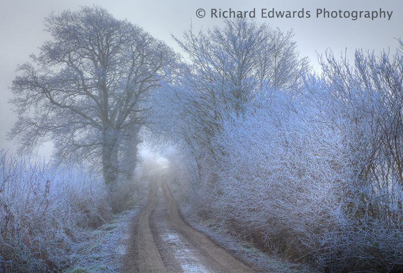 Misty Lane